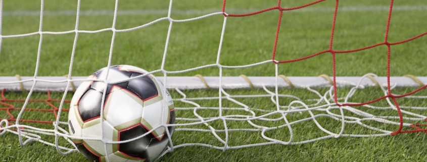 Soccer Ball in Goal Net