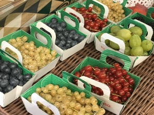 berries