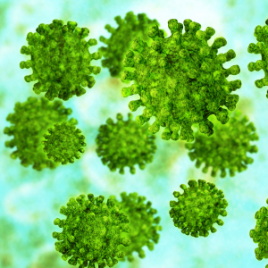virus