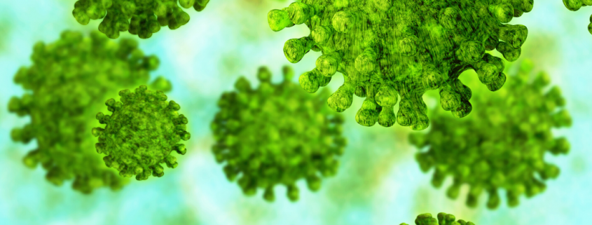virus