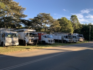 cattle trucks