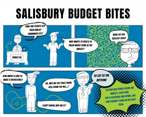 Salisbury Accountants Budget comic strip