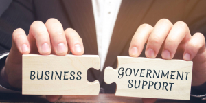 gov't support