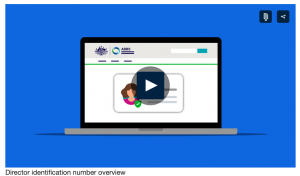 director ID application overview